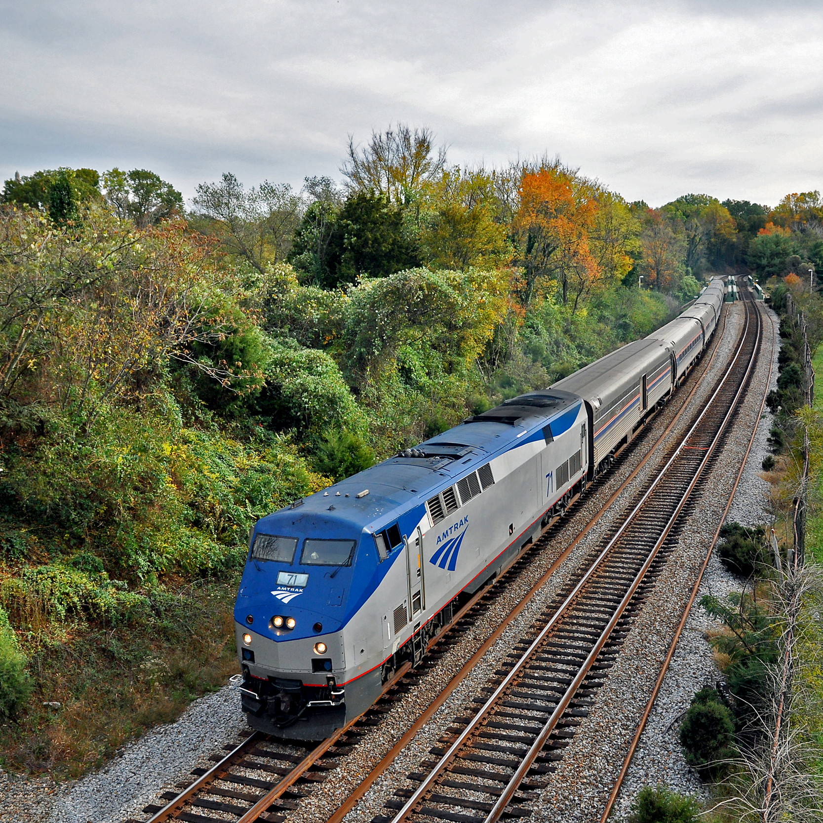 Amtrak Train driving through fall foliage next to a road