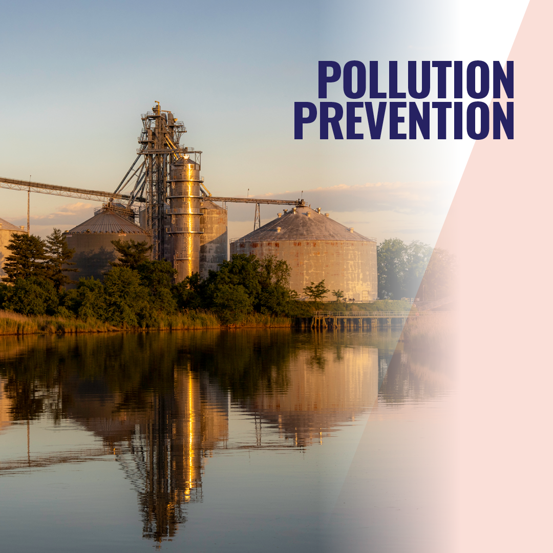 8 Pollution_Instagram_no date